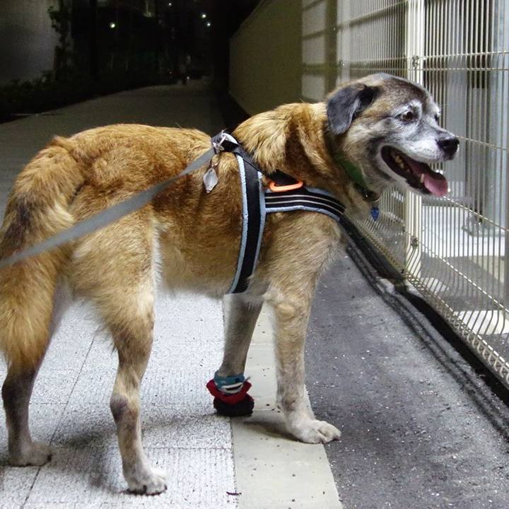 6f361d41 98b9 4f78 b1be d8548f15d211 1535381367608