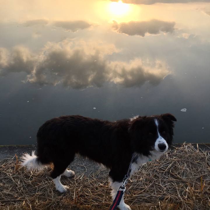 6f365c94 51fd 4a80 91c6 420c6889acac 1581117856438