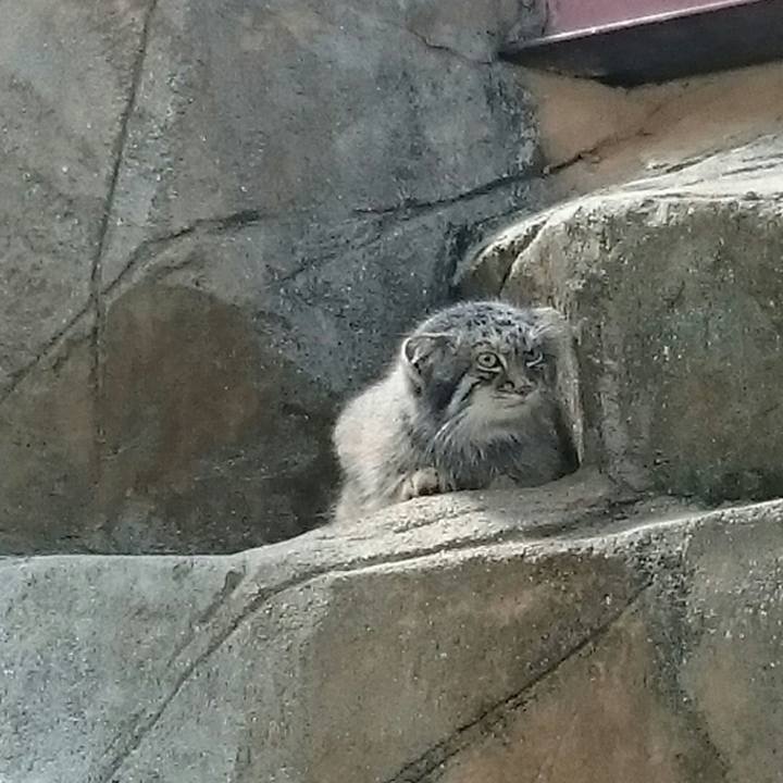 6f367cdd 3f90 4689 bfb1 c66988f7b3b9 1536585439761