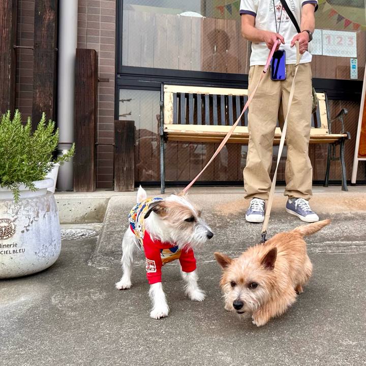 6f36d2b8 8392 436d a744 2503fa7d68ed 1711861275306