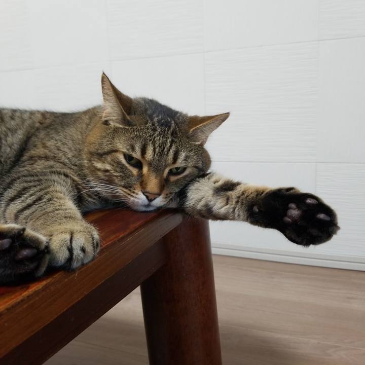 6f36d4c6 648e 498b bac6 9e828ffea47f 1559164198711