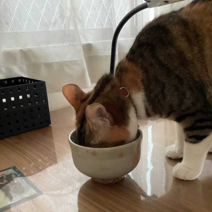 6f36e8dd b2be 480a 9ef6 9fd556329a28 1654908797532