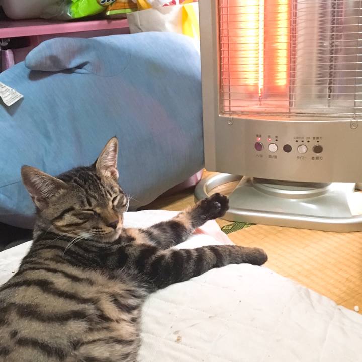 6f371679 2cad 41a3 96d4 4d5918f4cc22 1542860125566