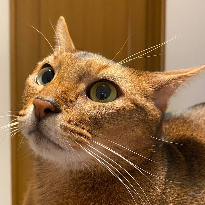 6f3729c7 0384 4463 942b 3996c2242937 1764061912038