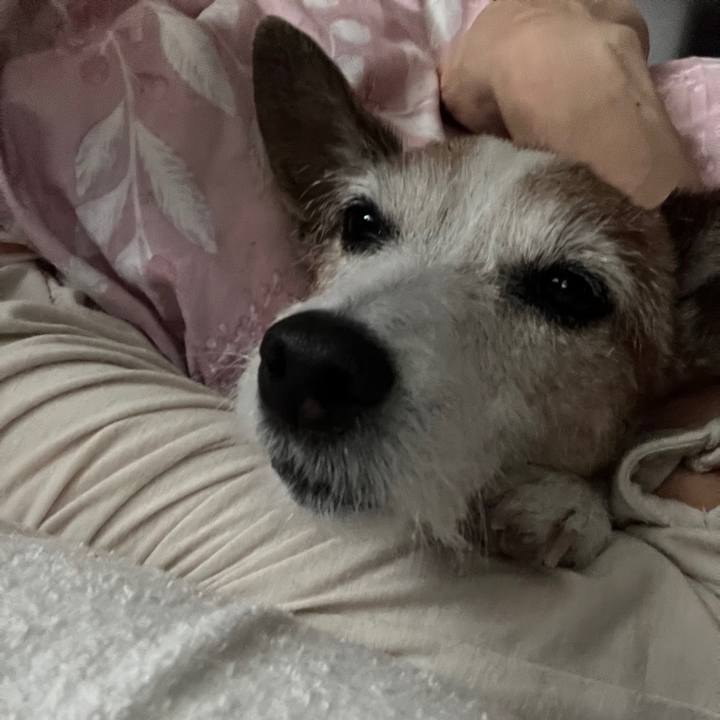 6f373e5c 1c4d 4b1e adea 7000d98b5810 1738884790128