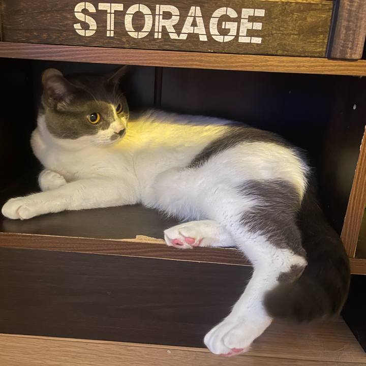 6f376052 434b 4dc0 a1d0 78b84dc2060b 1650496085879