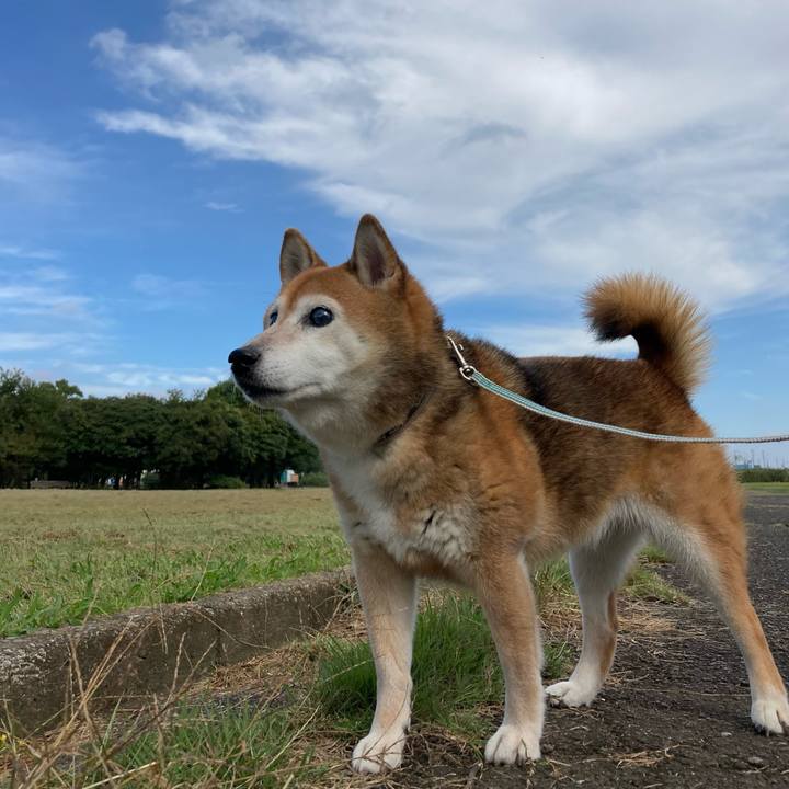 6f376a2b 17a3 4949 87d8 e77f8200c5c9 1729312520014