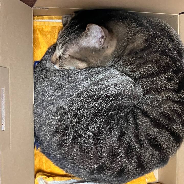 6f378085 7c59 470d 9458 72f94574a4d4 1771500909485