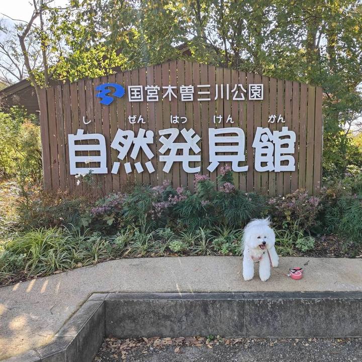 6f37bf1f 54cb 49d2 97db 9f5d10c8d9ec 1762575208632