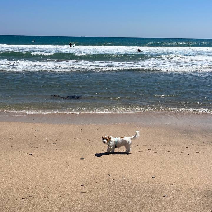 6f37c960 14c4 42bc ba1d 6a5c023c755c 1775645808706