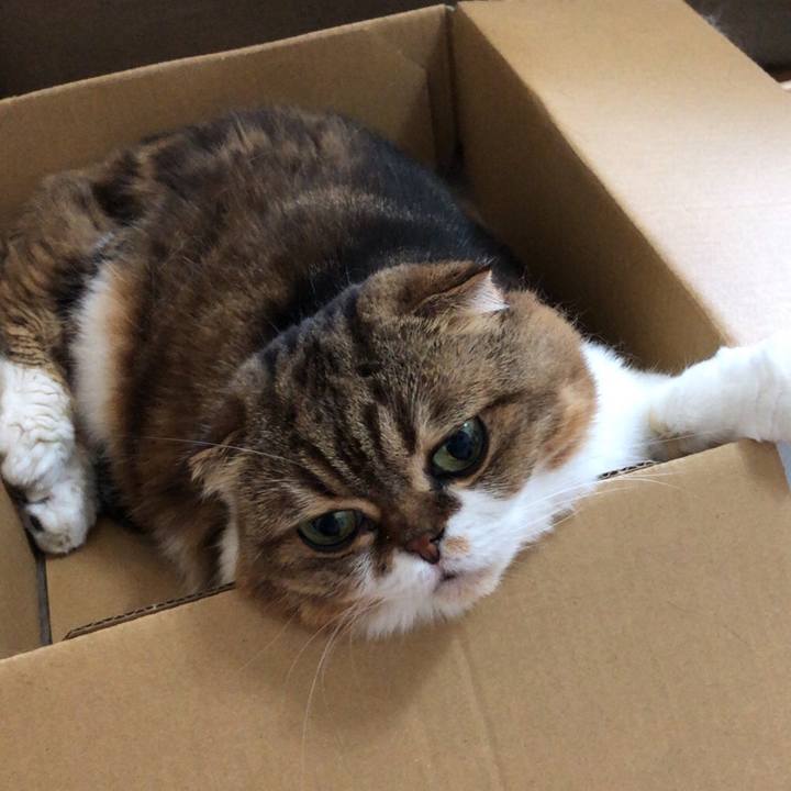 6f37d477 0963 4b29 b6f2 a5382594e6e4 1536030652187