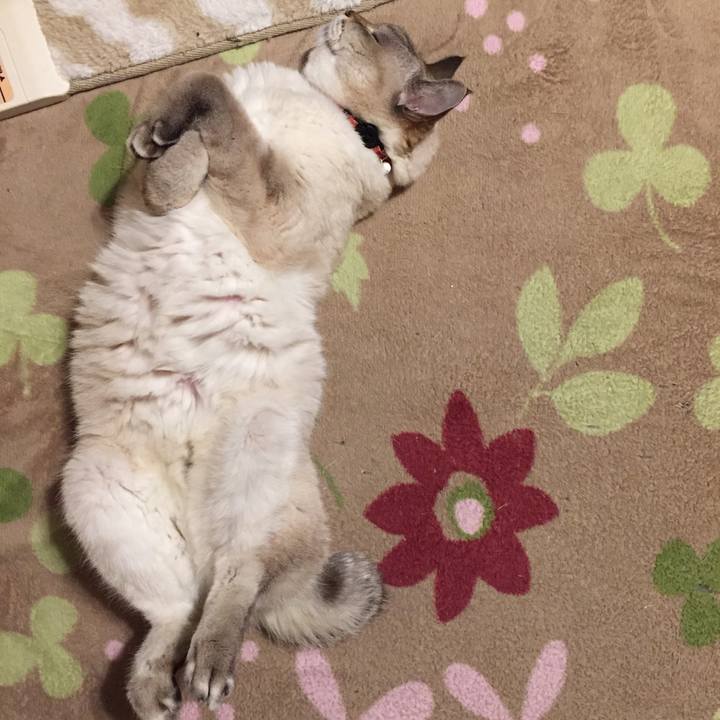 6f37ffac 7ca2 4815 9971 93bcb2fb0902 1578741232807