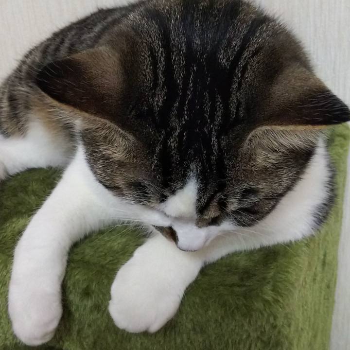 6f381b7d 072e 4129 9caf 5d547c23f7ae 1620471195293