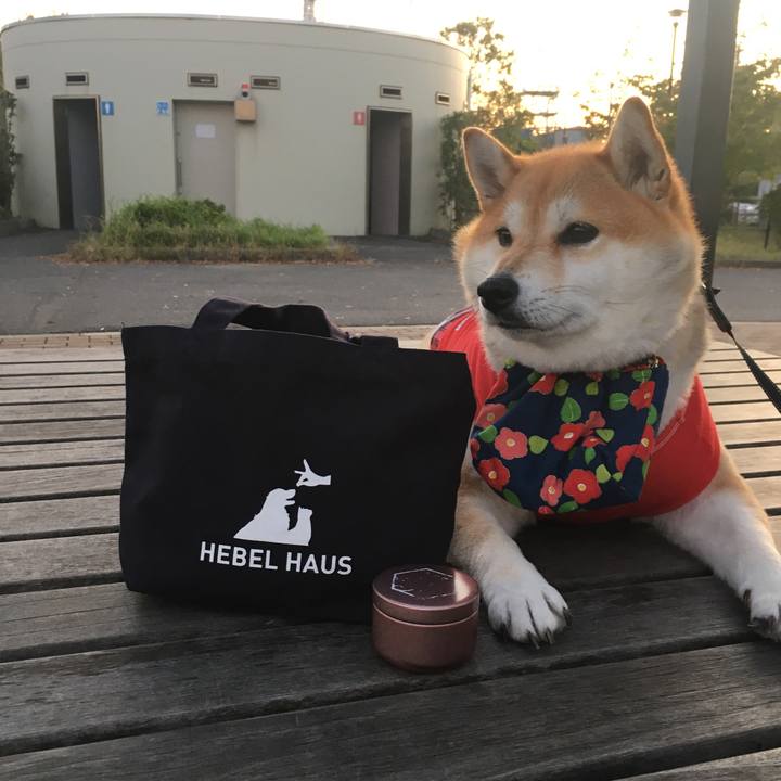 6f38460a c670 4c92 9356 3790c0f5d9c3 1572595512203