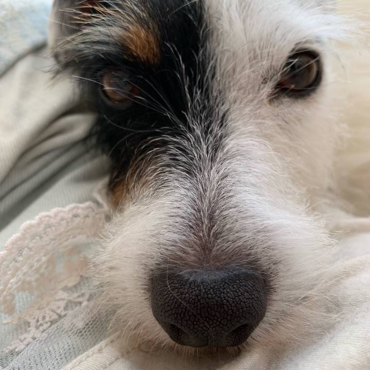 6f3866af f89d 4b39 9b09 47c2af0c9e47 1564474399573