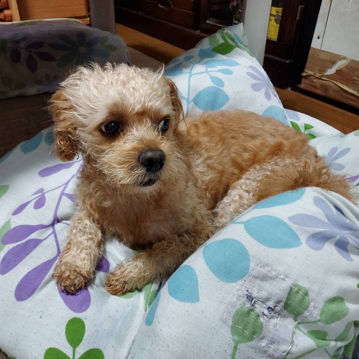 6f386795 f014 4fd0 8edb 2cdcf7fa5960 1629491769207