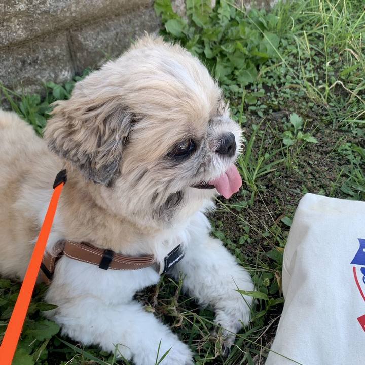 6f387f40 271b 4b6d aa28 6739fa860039 1760698897506