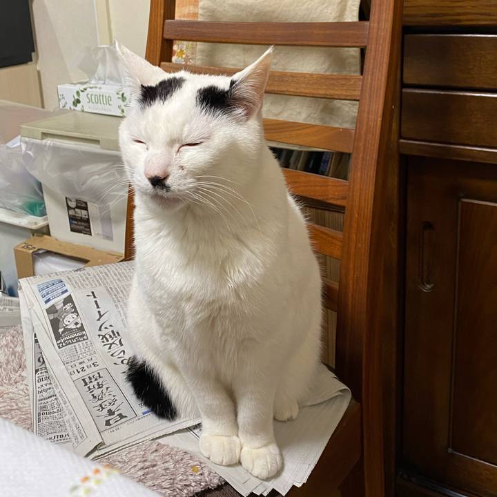 6f388e99 ffef 46ae bac7 0dc05690e307 1647860049810