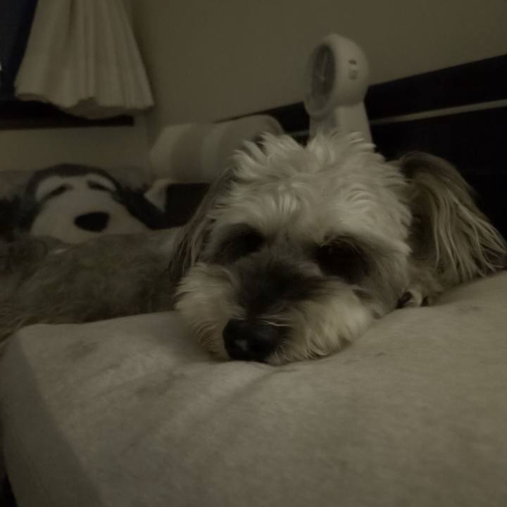 6f38f000 88e7 491d ac4e 135239064709 1757941308579