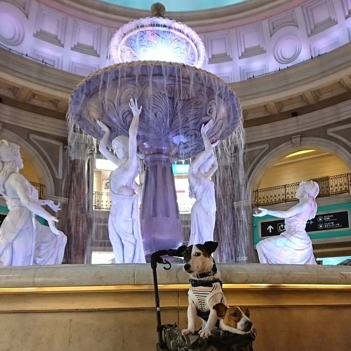 6f38fdf4 b3ac 4213 8ba6 b25ca8c959e6 1529479057006