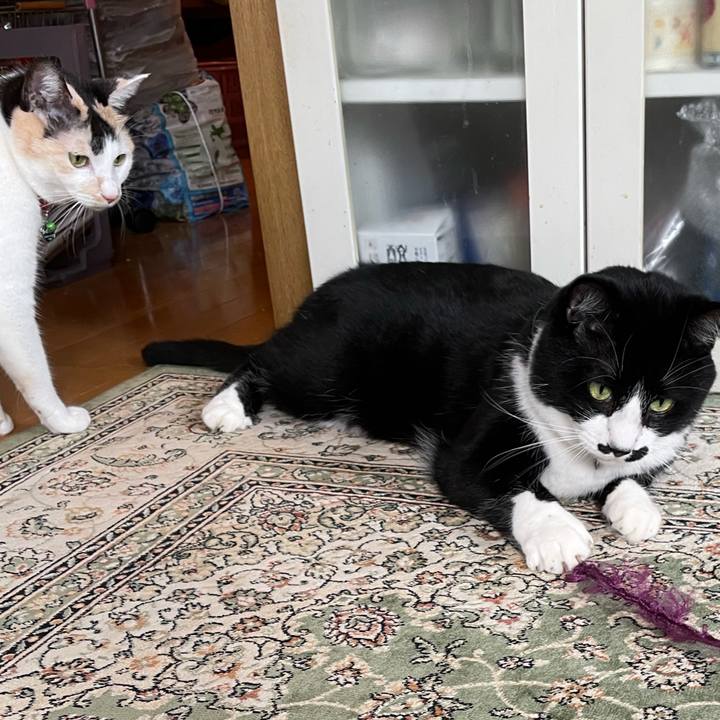 6f391bdd 9919 4b63 b895 f5f91a59a313 1722996436740