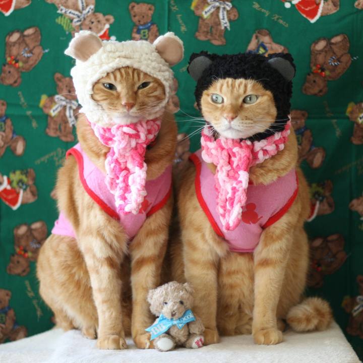 6f39374e 4368 45f2 8648 d4426ae33fbf 1513950063137