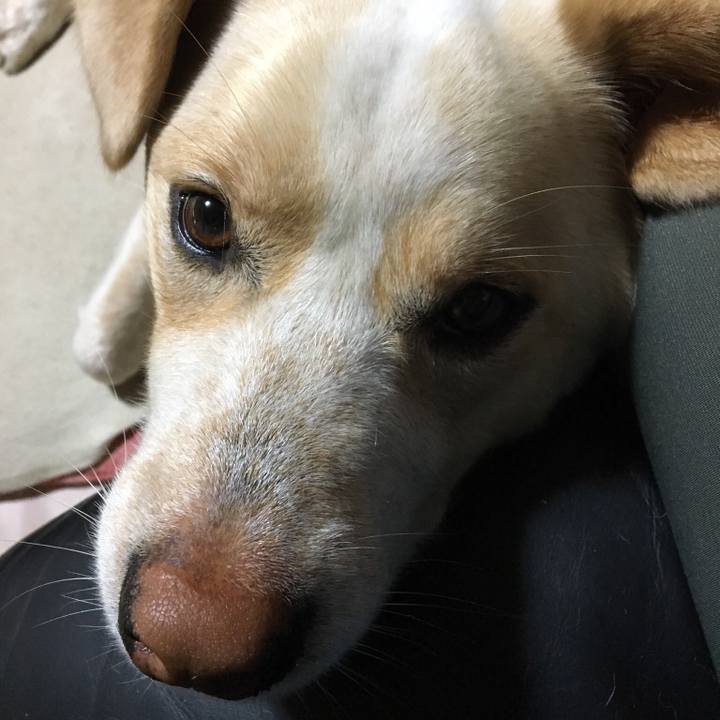 6f395eaa 4dc1 439d a9ca 02d16b98923e 1527419075171