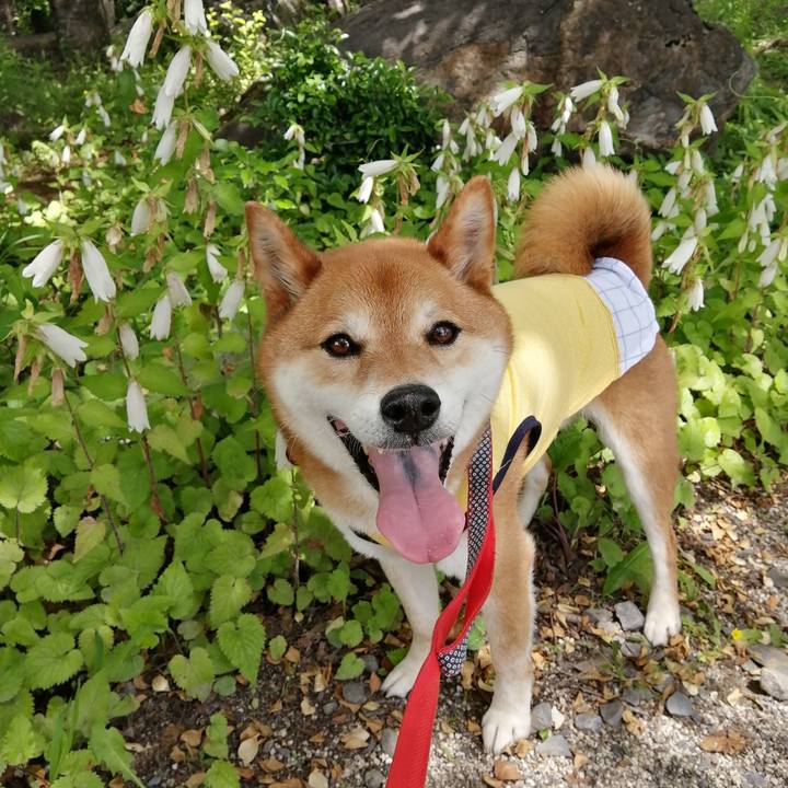 6f39812c ab96 431e 8269 d7aec34d9fa0 1622696742040