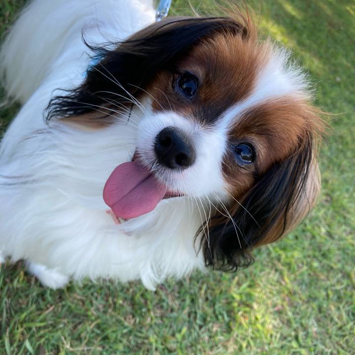 6f398e91 2669 4d75 b50b 92882dceaf2c 1632024398083