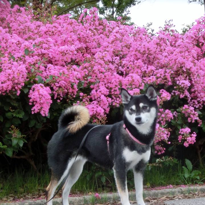 6f39cb5b 2a36 42fa 9c65 3db1ce4647d1 1537572236352