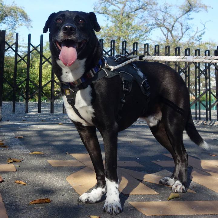 6f3a0a7d b60d 47ae b563 5bcdc5758306 1664843600355