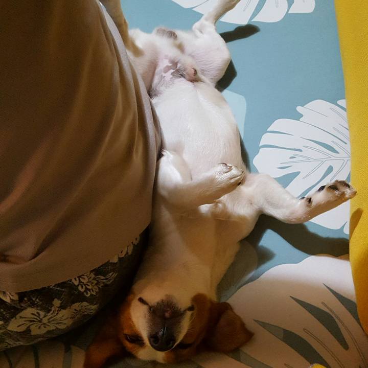 6f3a39ba 9ada 4dc1 b29d bfcfa358c896 1565960276843