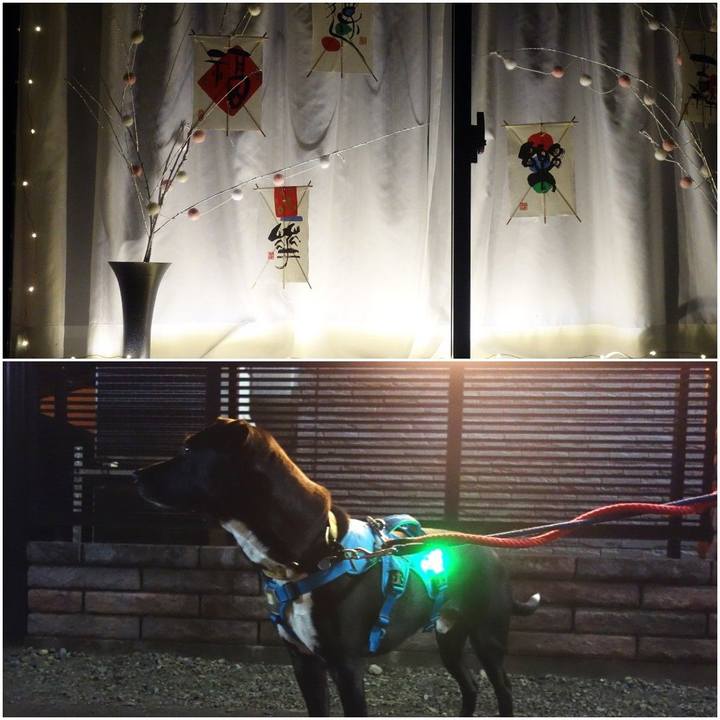 6f3a45bf c3d6 4586 9da9 dd23998a12e8 1609670557338