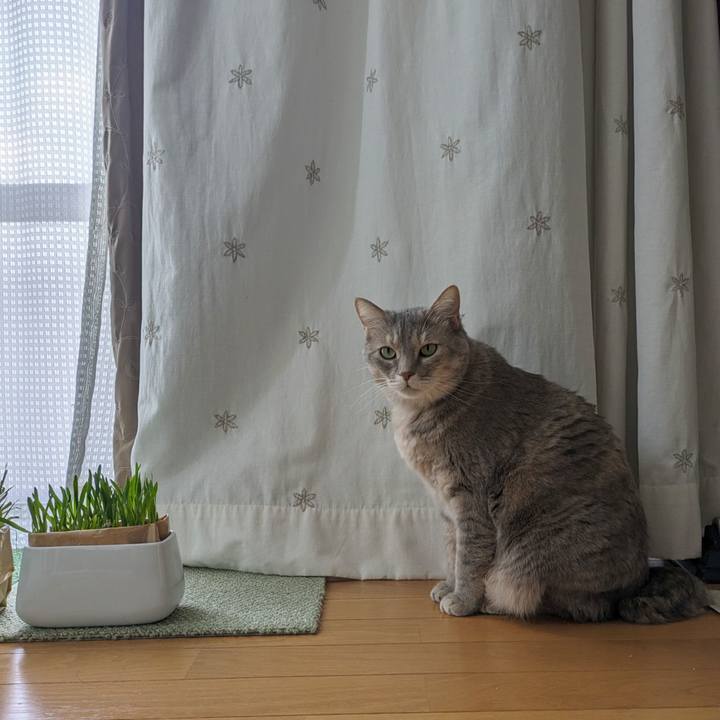 6f3a622f 759a 486b 8640 5718dd149bd7 1691741200040