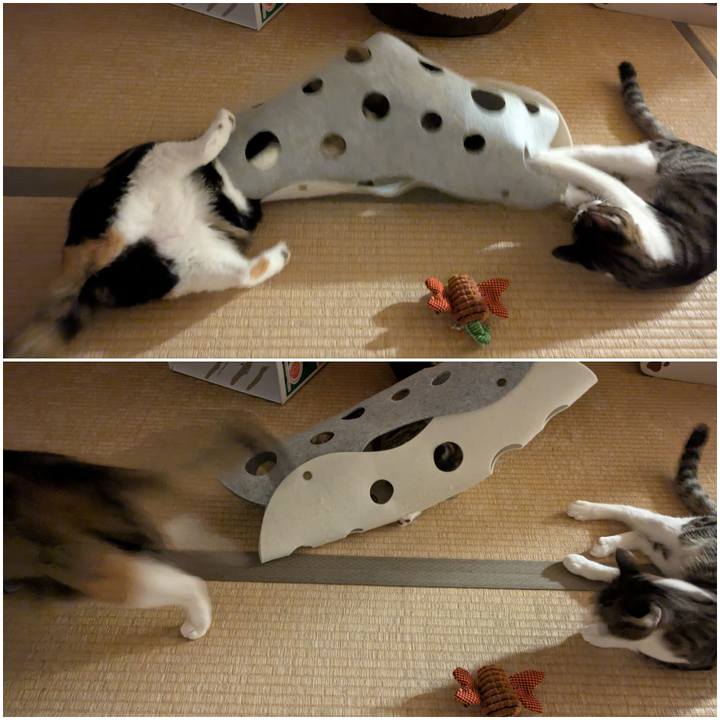 6f3a7c03 1e4f 42ad 8d1f c8c86b03cb20 1735292779383