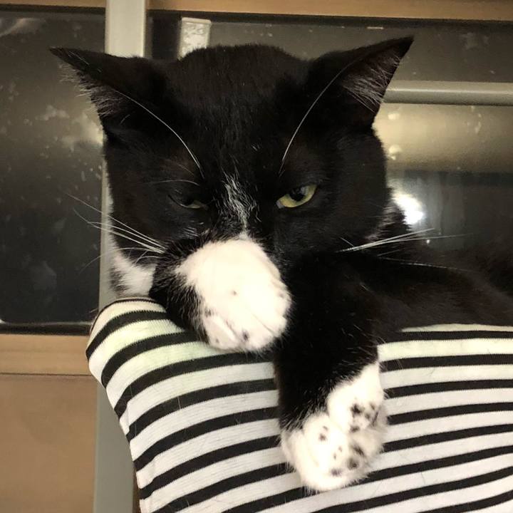 6f3abc41 dddd 4f11 a6ab fa795c878d0a 1533972611524