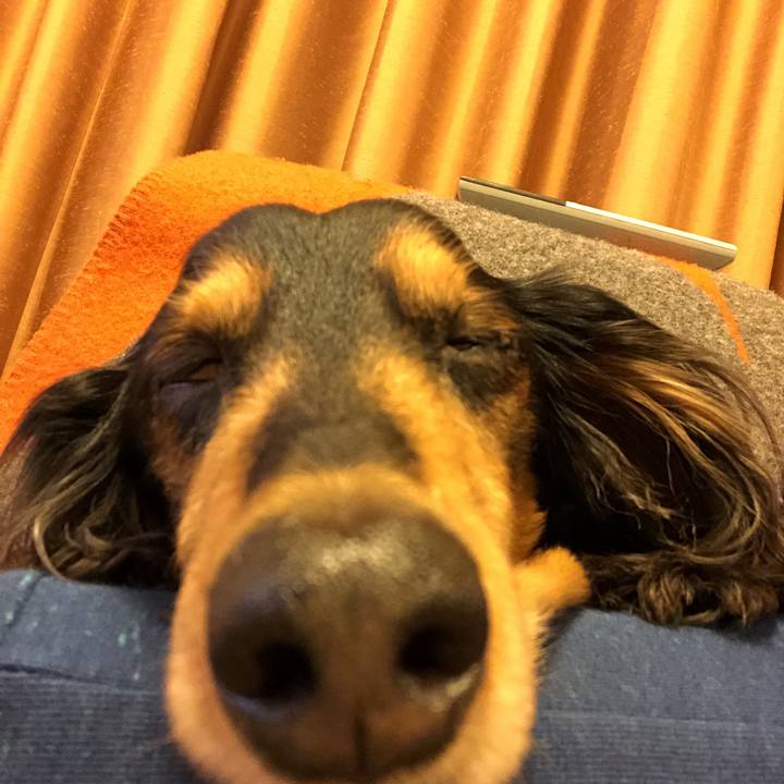 6f3aca33 9b83 4758 bd2d 081a919eb1d4 1552828167476