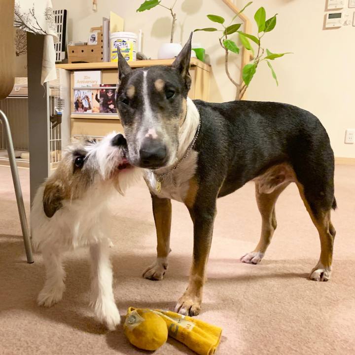 6f3accc0 07ae 48ba 855d f47355d3fd74 1568798144096