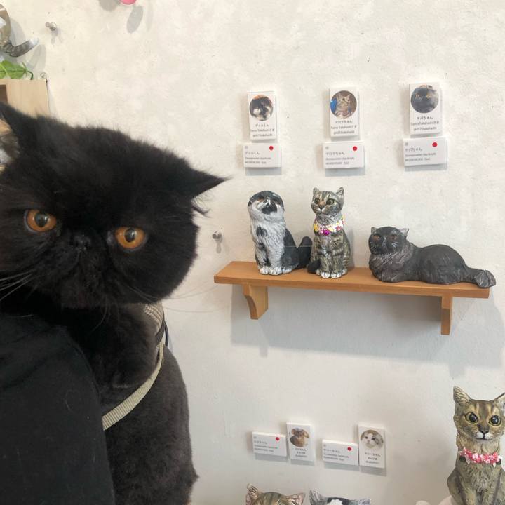 6f3ae51a f6ec 45b9 8fd8 1818b0b91798 1716697328726