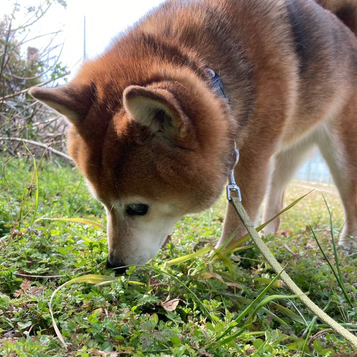 6f3ae6d4 0298 4d0c 9f7e 983db8a8d47b 1675481301026