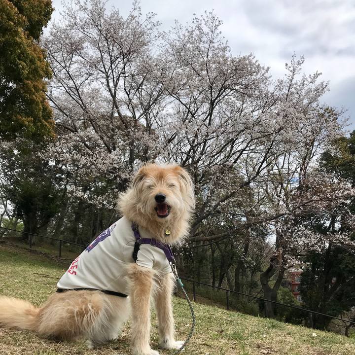 6f3b09a7 ad72 46c0 a4aa 876ef21c2e57 1585296036515