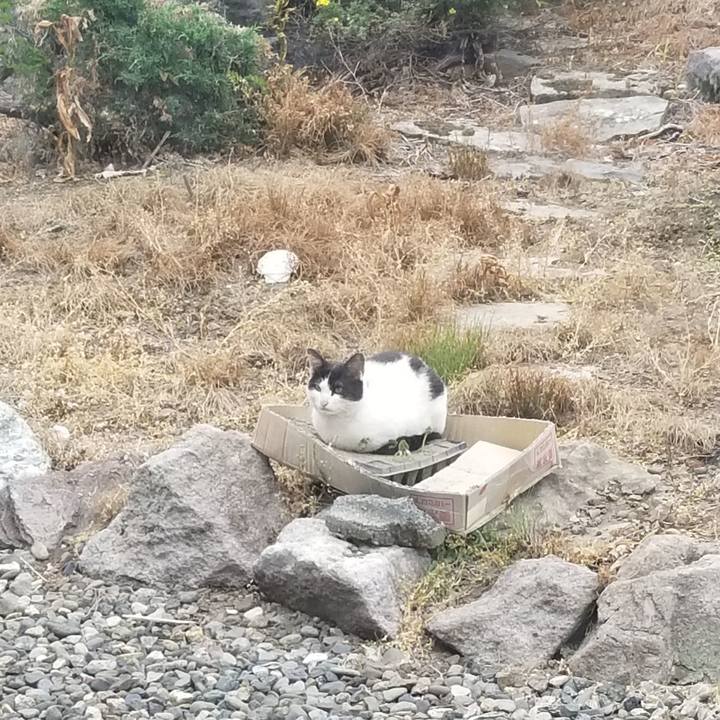 6f3b1223 7d42 4125 a56d bfd91c63f0fb 1624952362846