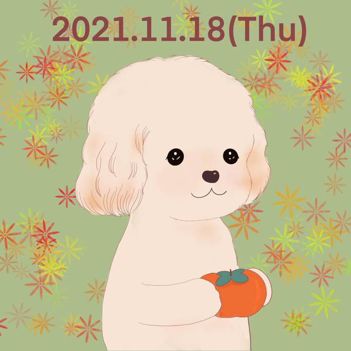 6f3b2379 68a6 48f5 8efc 2380c1bee3b0 1637239679316