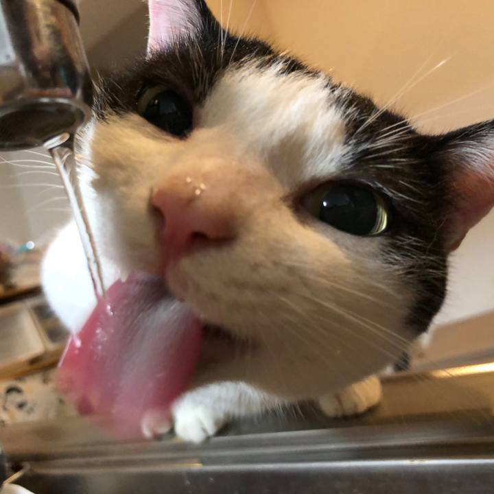 6f3b27d4 5cc8 4084 a82d 9bc5ffeadd77 1601181391037