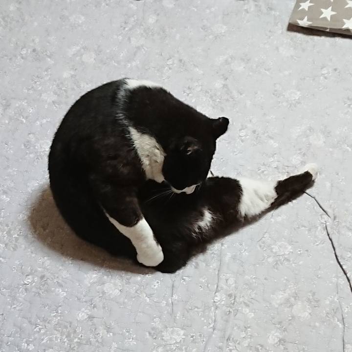 6f3b2833 7222 4041 8f07 3a7800333a09 1616973285968