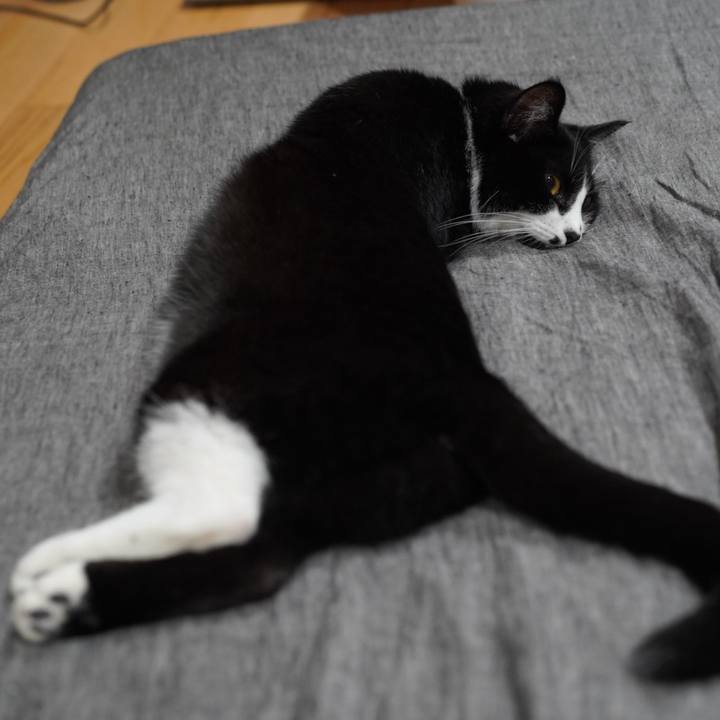 6f3b29a0 7b11 4507 a04d 71a86ec44993 1627913499450