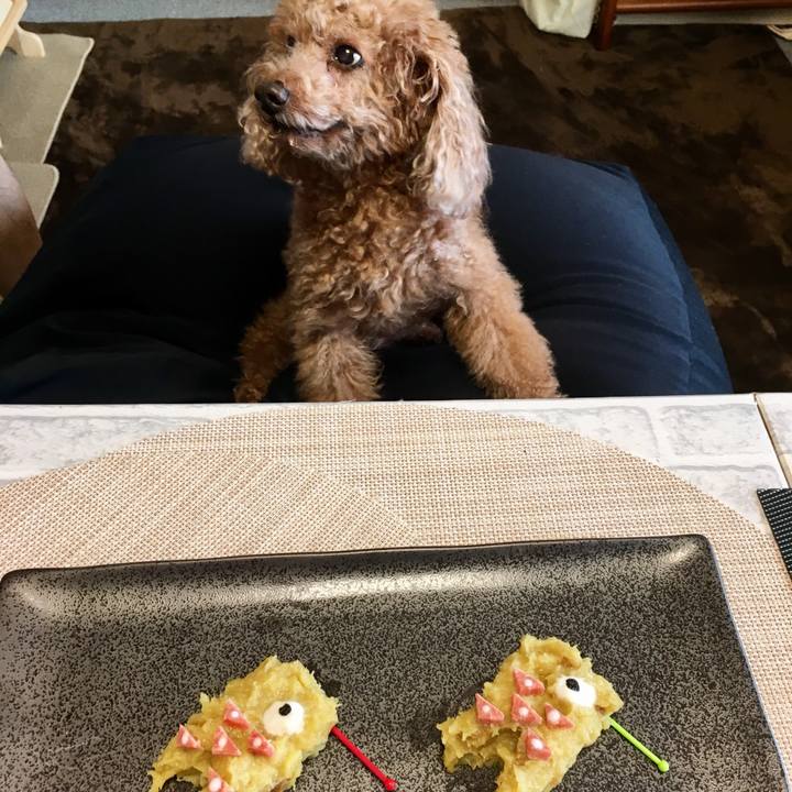 6f3b326c 2da5 42a7 9f1c f66d7edf2b5a 1587983930745