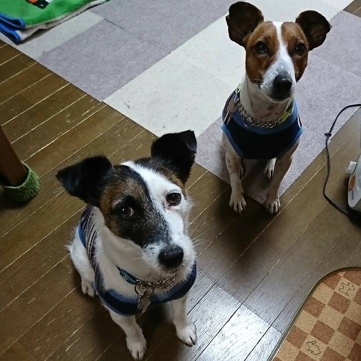 6f3b3303 a619 48c5 b42c 1c12b18e02c4 1588546821570