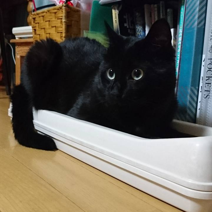 6f3b3738 65a5 45bc 9a95 cca8c6d4ec47 1534681347798