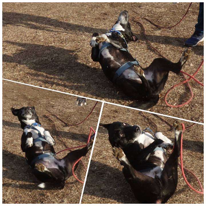 6f3b9fc6 245d 4994 94d9 1a1fb0ca9af5 1707959661996